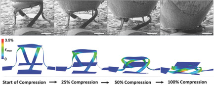 Fabrication and Deformation of 3D Multilayered Kirigami Microstructures