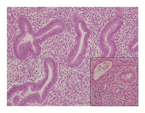 Details are in the caption following the image Details are in the caption following the image