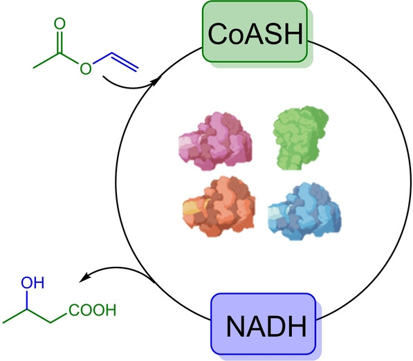 ATP-Independent and Cell-Free Biosynthesis of β-Hydroxy Acids Using Vinyl Esters as Smart Substrates