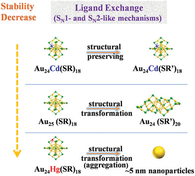 Metal Nanoparticles Confronted with Foreign Ligands: Mere Ligand Exchange or Further Structural Transformation?