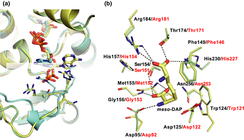 Details are in the caption following the image