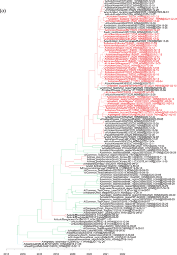 Details are in the caption following the image Details are in the caption following the image