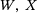 urn:x-wiley:16177061:media:pamm202300082:pamm202300082-math-0042