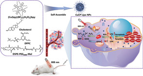 Photothermal Nanozymatic Nanoparticles Induce Ferroptosis and Apoptosis through Tumor Microenvironment Manipulation for Cancer Therapy