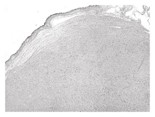 Details are in the caption following the image