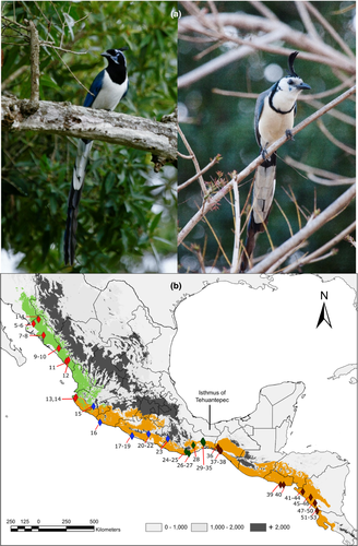 Details are in the caption following the image Details are in the caption following the image