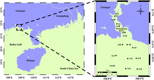 Details are in the caption following the image