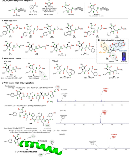 Details are in the caption following the image Details are in the caption following the image