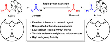 Potassium Acetate/18-Crown-6 Pair: Robust and Versatile Catalyst for Synthesis of Polyols from Ring-Opening Copolymerization of Epoxides and Cyclic Anhydrides†