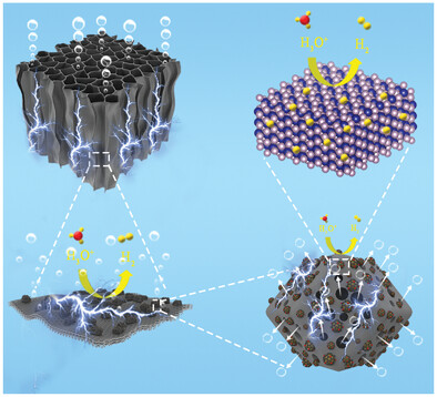 Directionally In Situ Self-Assembled, High-Density, Macropore-Oriented, CoP-Impregnated, 3D Hierarchical Porous Carbon Sheet Nanostructure for Superior Electrocatalysis in the Hydrogen Evolution Reaction