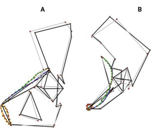 Details are in the caption following the image