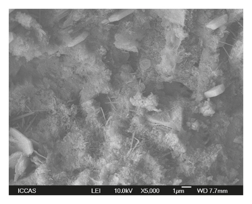 Details are in the caption following the image