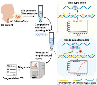 Highly Sensitive Detection of Complicated Mutations of Drug Resistance in Mycobacterium tuberculosis Using a Simple, Accurate, Rapid, and Low-Cost Tailored-Design Competitive Wild-Type Blocking Assay