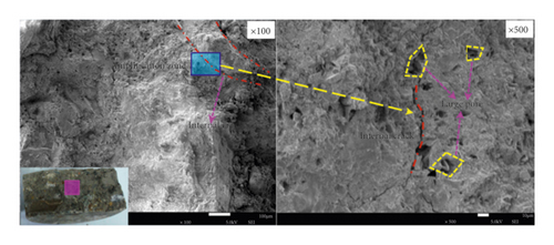 Details are in the caption following the image Details are in the caption following the image