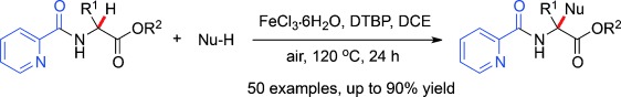 Iron-Catalyzed Oxidative C<span class='icomoon'></span>H/C<span class='icomoon'></span>H Cross-Coupling: An Efficient Route to α-Quaternary α-Amino Acid Derivatives