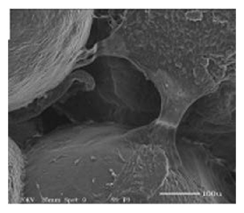 Details are in the caption following the image