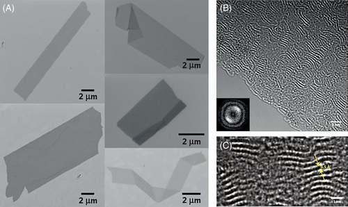Details are in the caption following the image Details are in the caption following the image