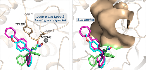 Details are in the caption following the image Details are in the caption following the image