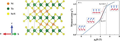 Unconventional Magnetic and Magneto-Transport Properties in Quasi-2D Ni0.28TaSeS Single Crystal