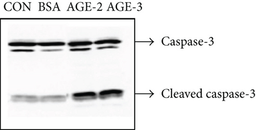 Details are in the caption following the image