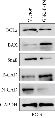 Details are in the caption following the image