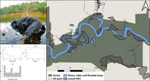 The effect of oil palm-dominated landscapes on the home range and distribution of a generalist species, the Asian water monitor