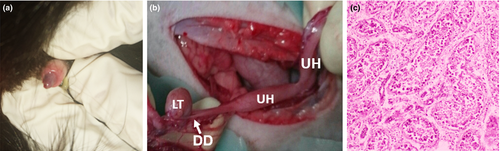 Details are in the caption following the image