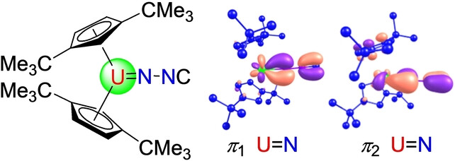 Experimental and Computational Studies on Uranium Diazomethanediide Complexes