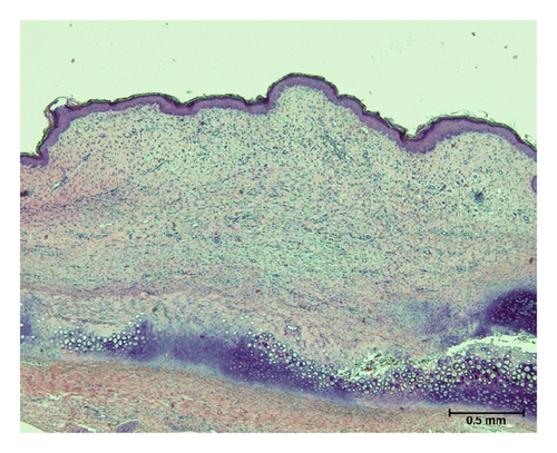 Details are in the caption following the image
