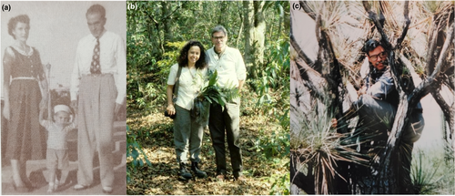 Details are in the caption following the image