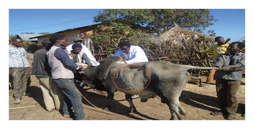 Details are in the caption following the image