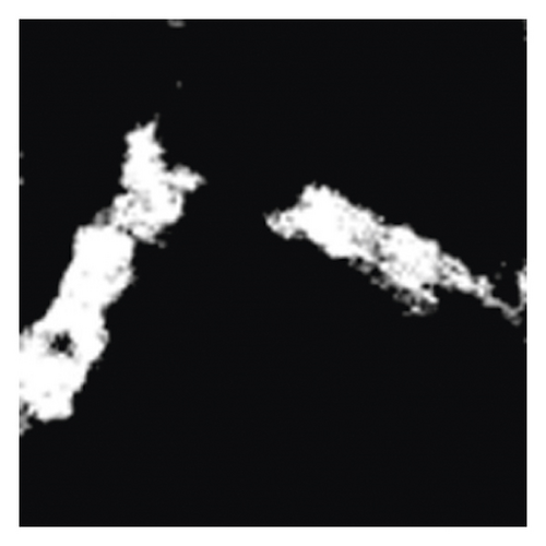 Details are in the caption following the image