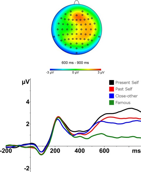 Present-self, past-self and the close-other: neural correlates of assigning trait adjectives to oneself and others