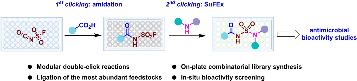 Enabling Modular Click Chemistry Library through Sequential Ligations of Carboxylic Acids and Amines