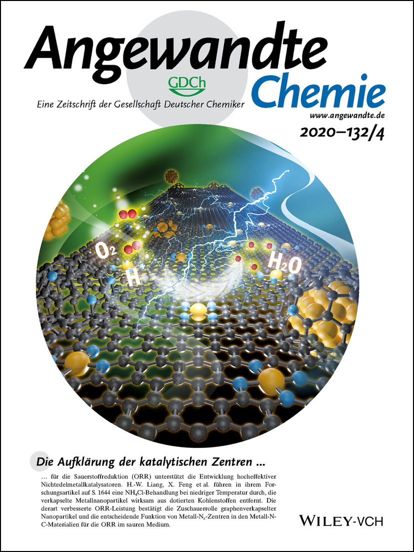 Innenrücktitelbild: Identification of Catalytic Sites for Oxygen Reduction in Metal/Nitrogen-Doped Carbons with Encapsulated Metal Nanoparticles (Angew. Chem. 4/2020) Volume 132 Issue 4, 2020