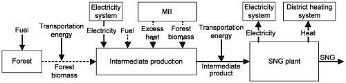 Systems analysis of different value chains based on domestic forest biomass for the production of bio-SNG