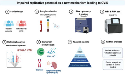 Follicular helper T cell signature of replicative exhaustion, apoptosis, and senescence in common variable immunodeficiency