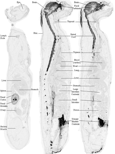 Details are in the caption following the image Details are in the caption following the image