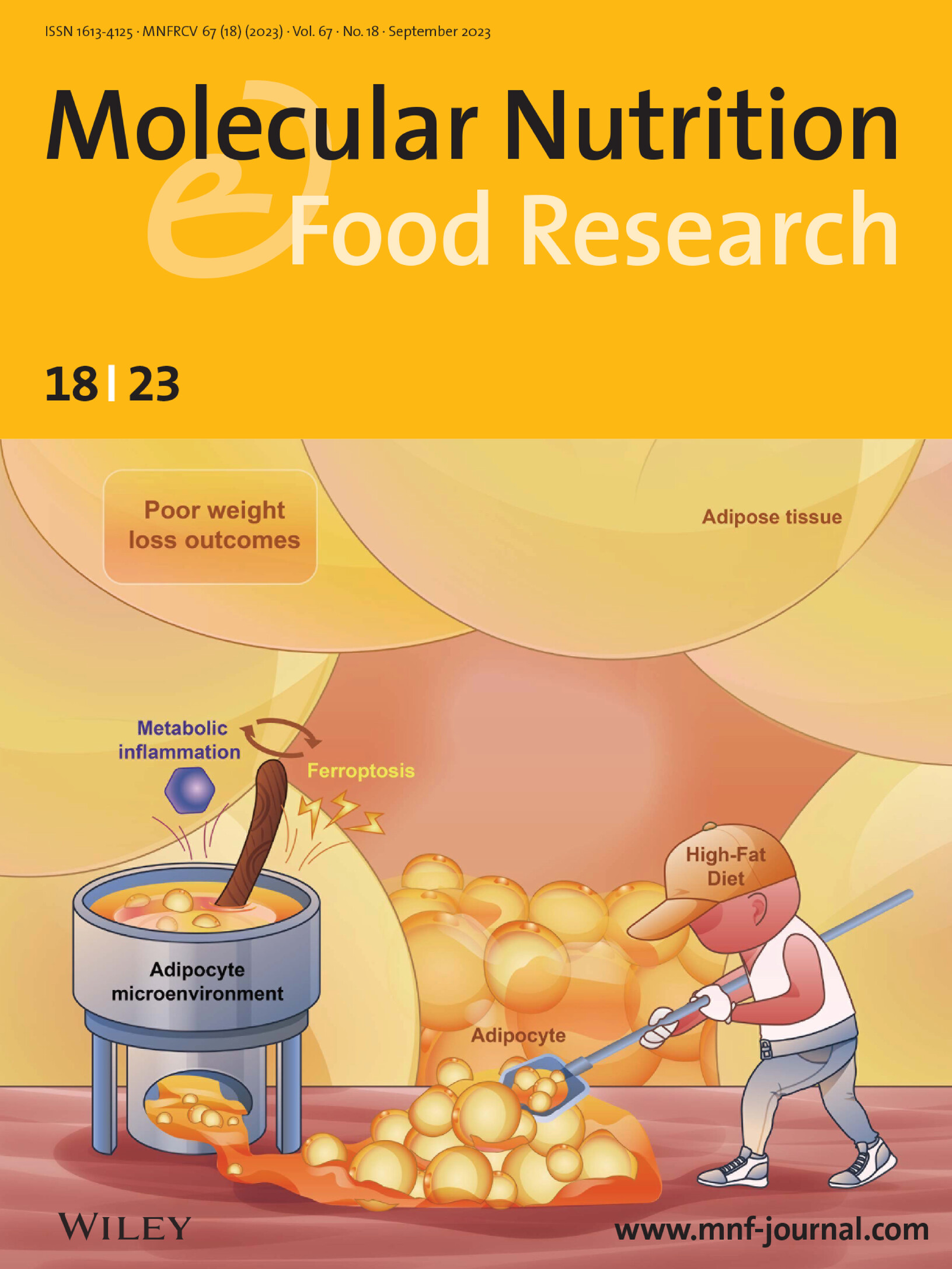 Front Cover: Identifying Ferroptosis-Related Genes Associated with Weight Loss Outcomes and Regulation of Adipocyte Microenvironment Volume 67 Issue 18, 2023