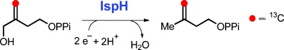 Mechanistic Studies of an IspH-Catalyzed Reaction: Implications for Substrate Binding and Protonation in the Biosynthesis of Isoprenoids