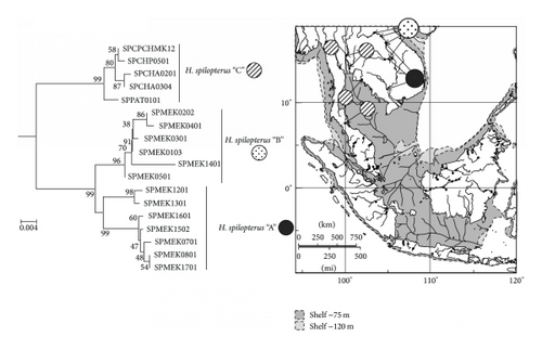 Details are in the caption following the image