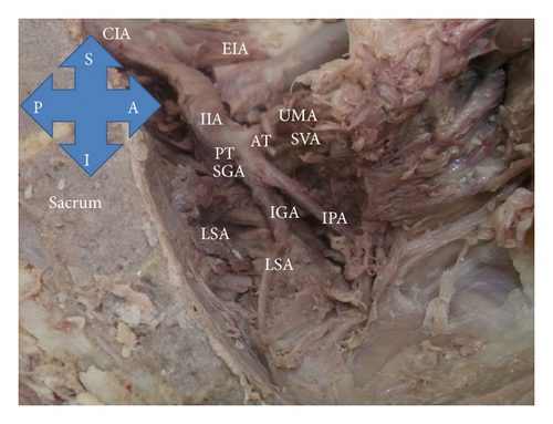 Details are in the caption following the image Details are in the caption following the image