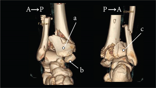 Details are in the caption following the image Details are in the caption following the image