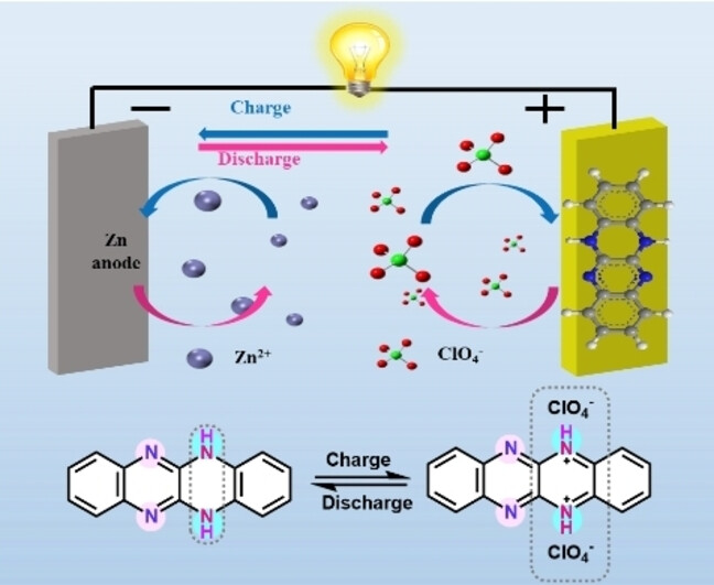 A High Capacity p-Type Organic Cathode Material for Aqueous Zinc Batteries