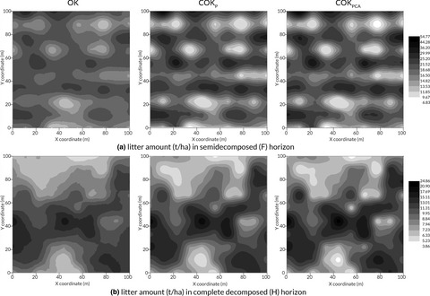 Spatial variability in the amount of forest litter at the local scale in northeastern China: Kriging and cokriging approaches to interpolation