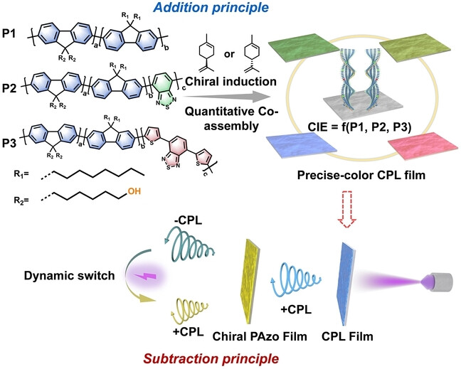 Precise Modulation of Circularly Polarized Luminescence via Polymer Chiral Co-assembly and Contactless Dynamic Chiral Communication
