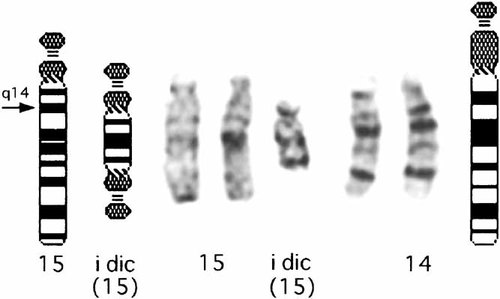 Details are in the caption following the image