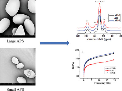 Pasting, Rheological, and Thermal Properties and Structural Characteristics of Large and Small Arenga pinnata Starch Granules