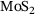 urn:x-wiley:16177061:media:pamm202300243:pamm202300243-math-0127