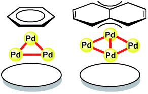 Modulation of Benzene or Naphthalene Binding to Palladium Cluster Sites by the Backside-Ligand Effect